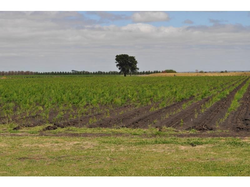 395 Dalmore Road, Dalmore VIC 3981