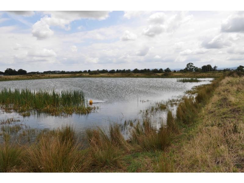 195 Hogans Road, Bayles VIC 3981