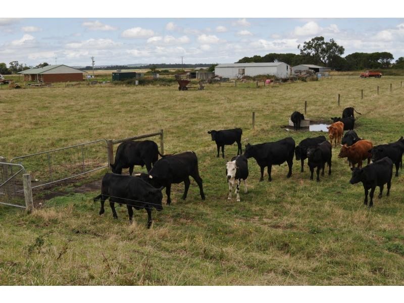 195 Hogans Road, Bayles VIC 3981