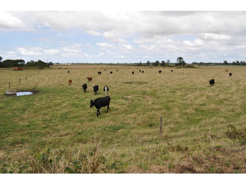 195 Hogans Road, Bayles VIC 3981