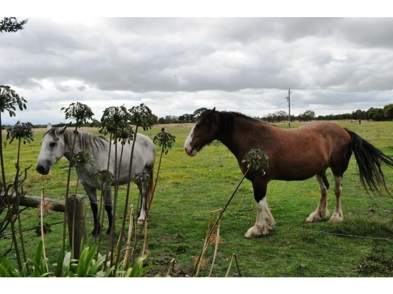 555 Monomeith Road, Monomeith VIC 3984