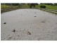 85 Forrest Road, Nyora VIC 3987
