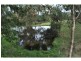 85 Forrest Road, Nyora VIC 3987