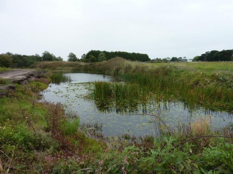 Lot 12 Backhouses Road, Bayles VIC 3981