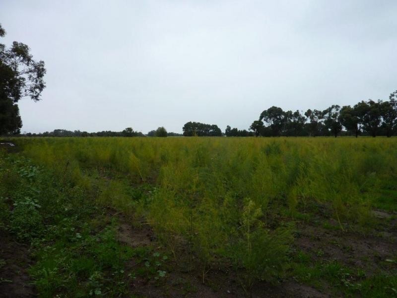 Lot 12 Backhouses Road, Bayles VIC 3981