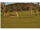 75 Berrys Road, Nyora VIC 3987