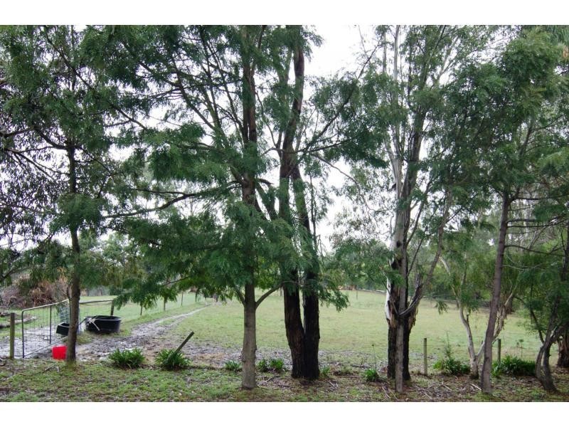 175 Henrys Road, Nyora VIC 3987