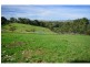 175 Henrys Road, Nyora VIC 3987