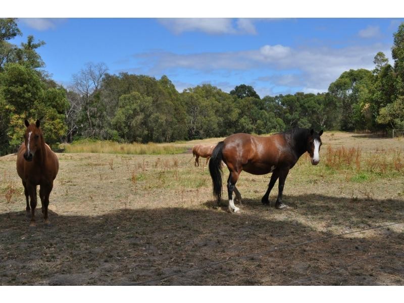 47-51 Yannathan Road, Nyora VIC 3987