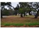 347 Westernport Road, Lang Lang VIC 3984