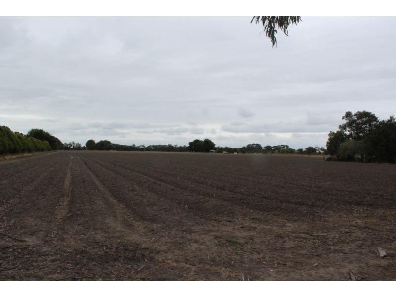 810 Main Drain Road, Bayles VIC 3981