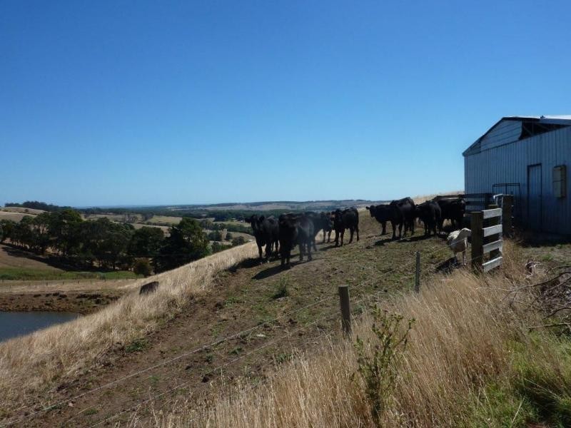 55 Michie Road, Krowera VIC 3945