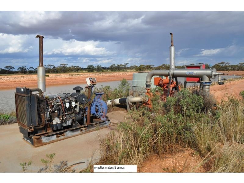 L2 Prungle Road, Euston NSW 2737
