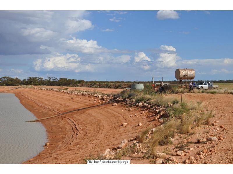 L2 Prungle Road, Euston NSW 2737
