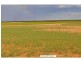 L2 Prungle Road, Euston NSW 2737