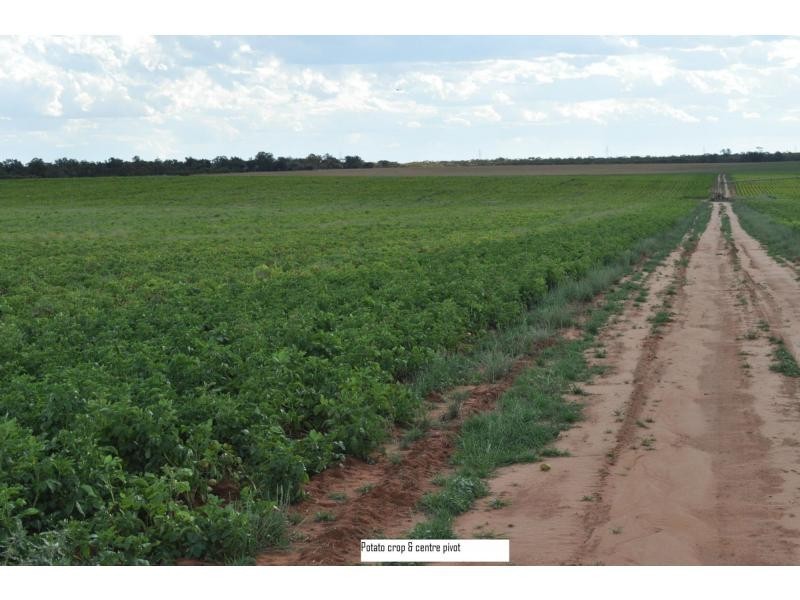 L2 Prungle Road, Euston NSW 2737
