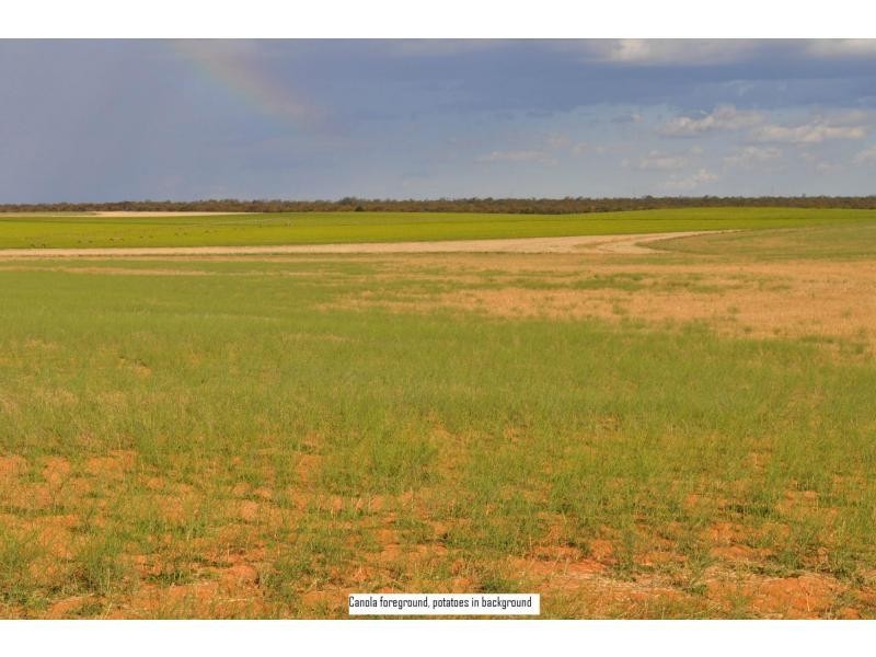 L2 Prungle Road, Euston NSW 2737
