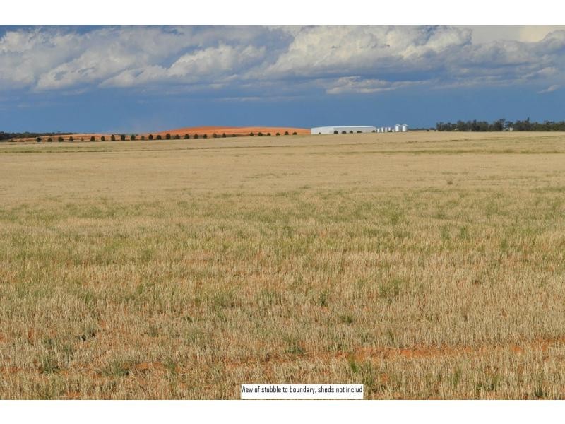 L2 Prungle Road, Euston NSW 2737
