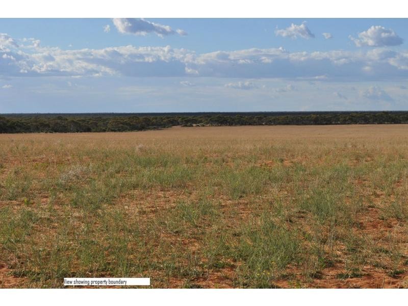 L2 Prungle Road, Euston NSW 2737
