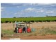 L6789 & 6899 Meilman Road, Euston NSW 2737