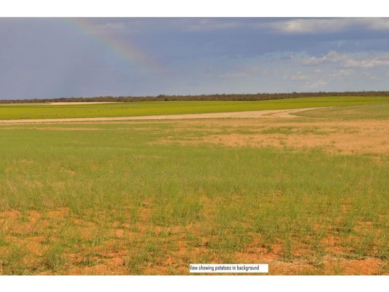 L2 Prungle Road, Euston NSW 2737