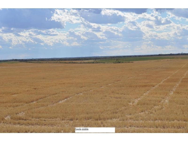 L2 Prungle Road, Euston NSW 2737