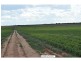 L2 Prungle Road, Euston NSW 2737