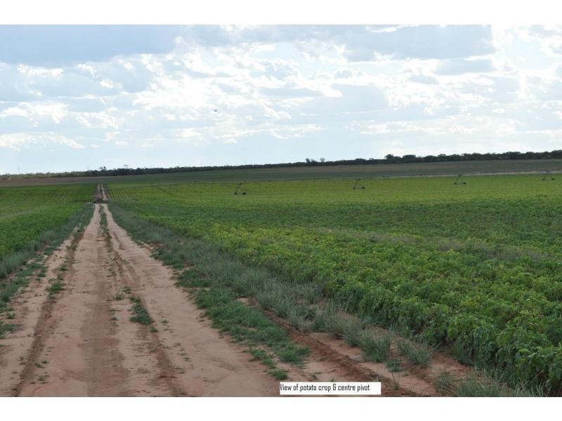 L2 Prungle Road, Euston NSW 2737