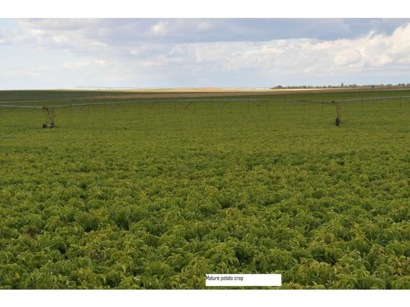 L2 Prungle Road, Euston NSW 2737