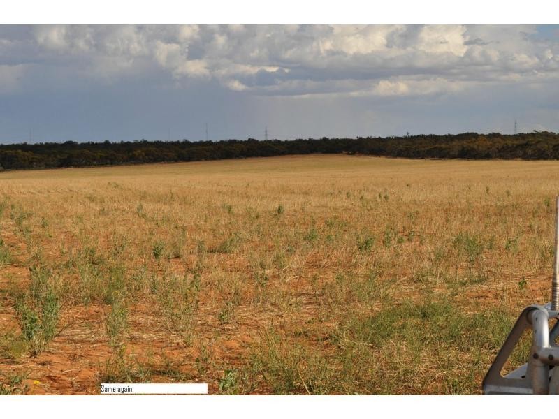 L2 Prungle Road, Euston NSW 2737