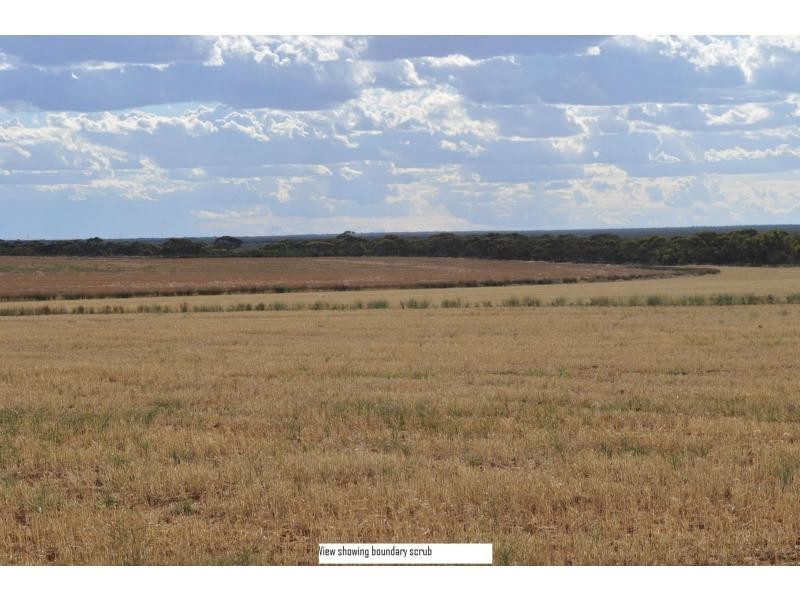 L2 Prungle Road, Euston NSW 2737