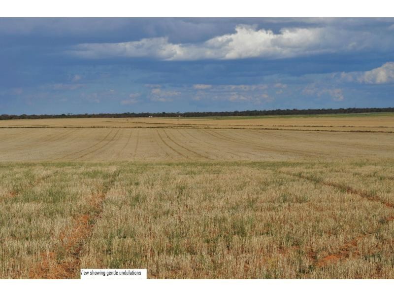 L2 Prungle Road, Euston NSW 2737