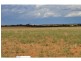 L2 Prungle Road, Euston NSW 2737