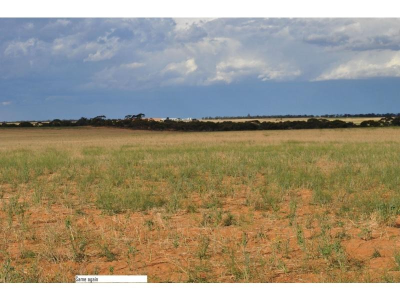 L2 Prungle Road, Euston NSW 2737