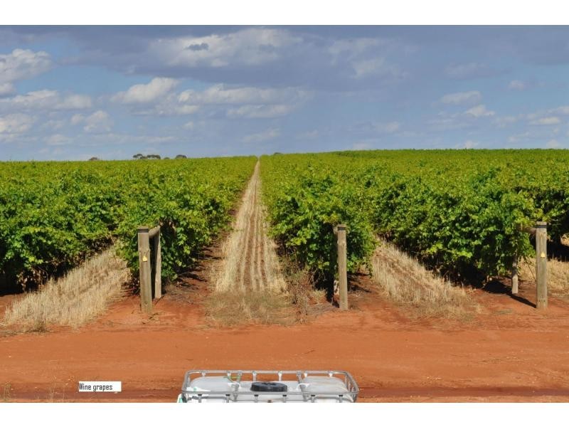 L6789 & 6899 Meilman Road, Euston NSW 2737