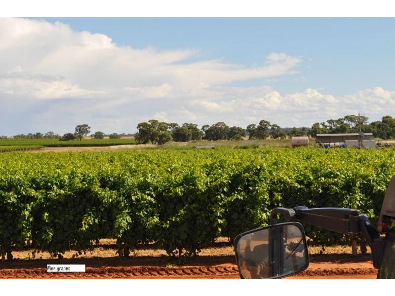 L6789 & 6899 Meilman Road, Euston NSW 2737