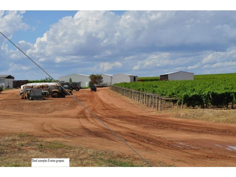 L6789 & 6899 Meilman Road, Euston NSW 2737