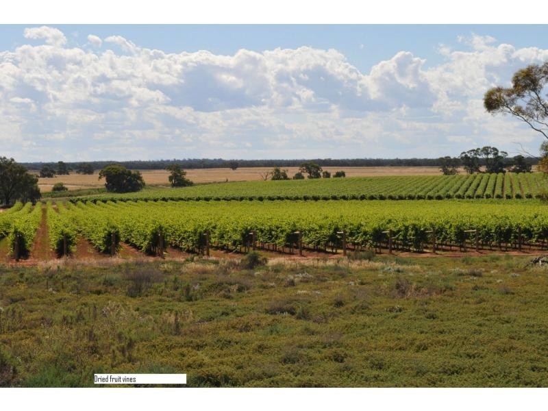 L6789 & 6899 Meilman Road, Euston NSW 2737