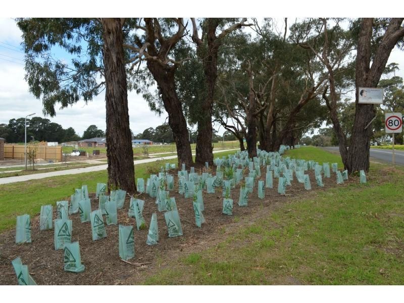 L00 Whitehill Estate, Lang Lang VIC 3984