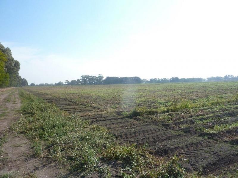 430 Murray Road, Cora Lynn VIC 3814