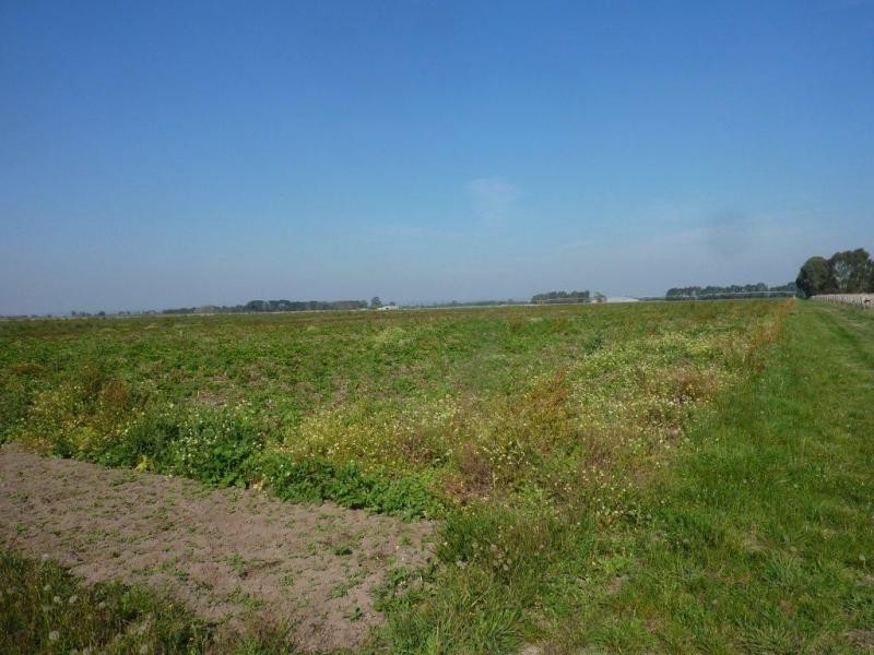 430 Murray Road, Cora Lynn VIC 3814