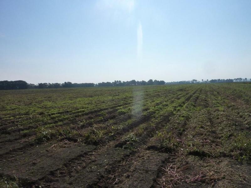 CA 4 Murray Road, Cora Lynn VIC 3814