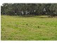 37 Berrys Road, Nyora VIC 3987