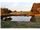 145 Daleys Road, Koo Wee Rup VIC 3981