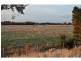 145 Daleys Road, Koo Wee Rup VIC 3981