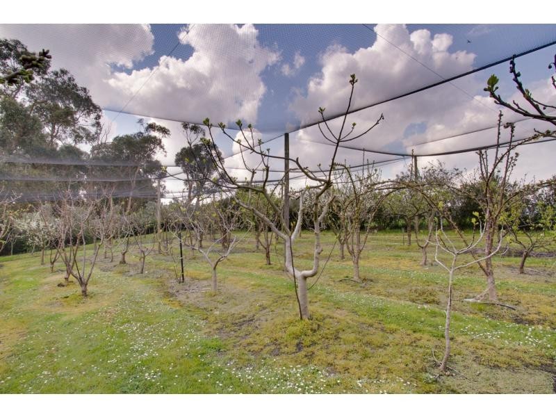 45 Henrys Road, Nyora VIC 3987