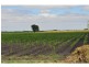 395 Dalmore Road, Dalmore VIC 3981