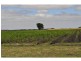 395 Dalmore Road, Dalmore VIC 3981