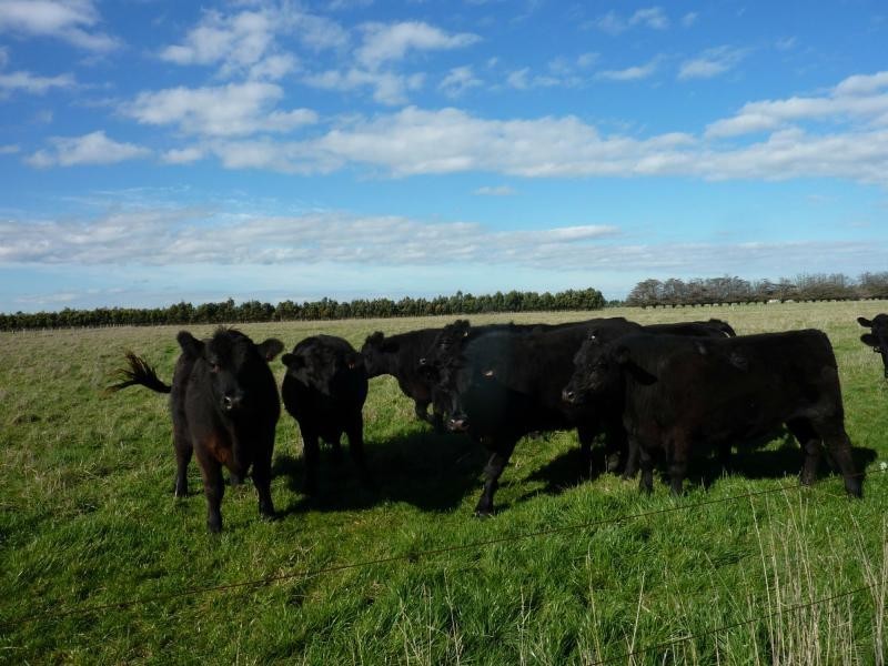 L31  355 Railway Road, Koo Wee Rup VIC 3981