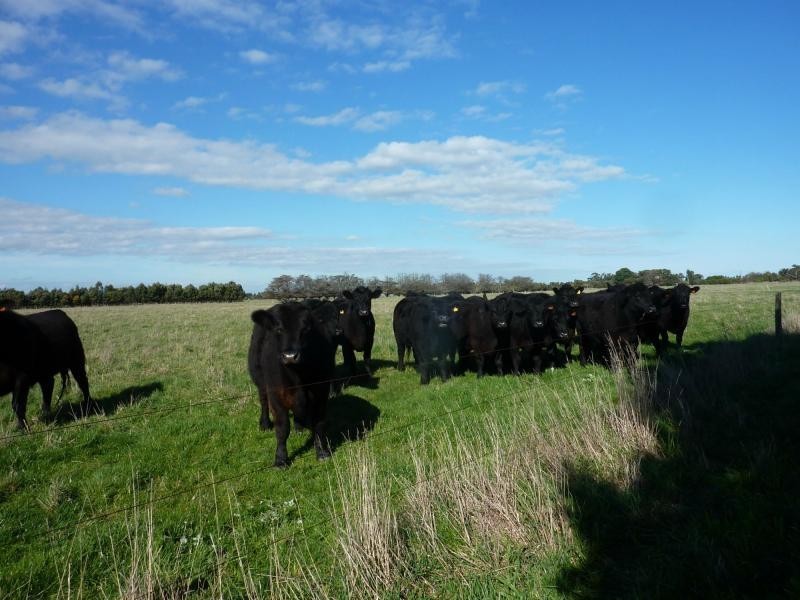 L31  355 Railway Road, Koo Wee Rup VIC 3981